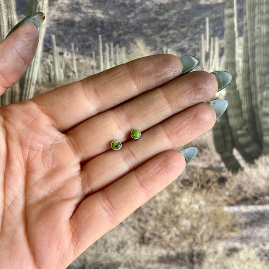 Sonoran Gold Turquoise Stud Earrings