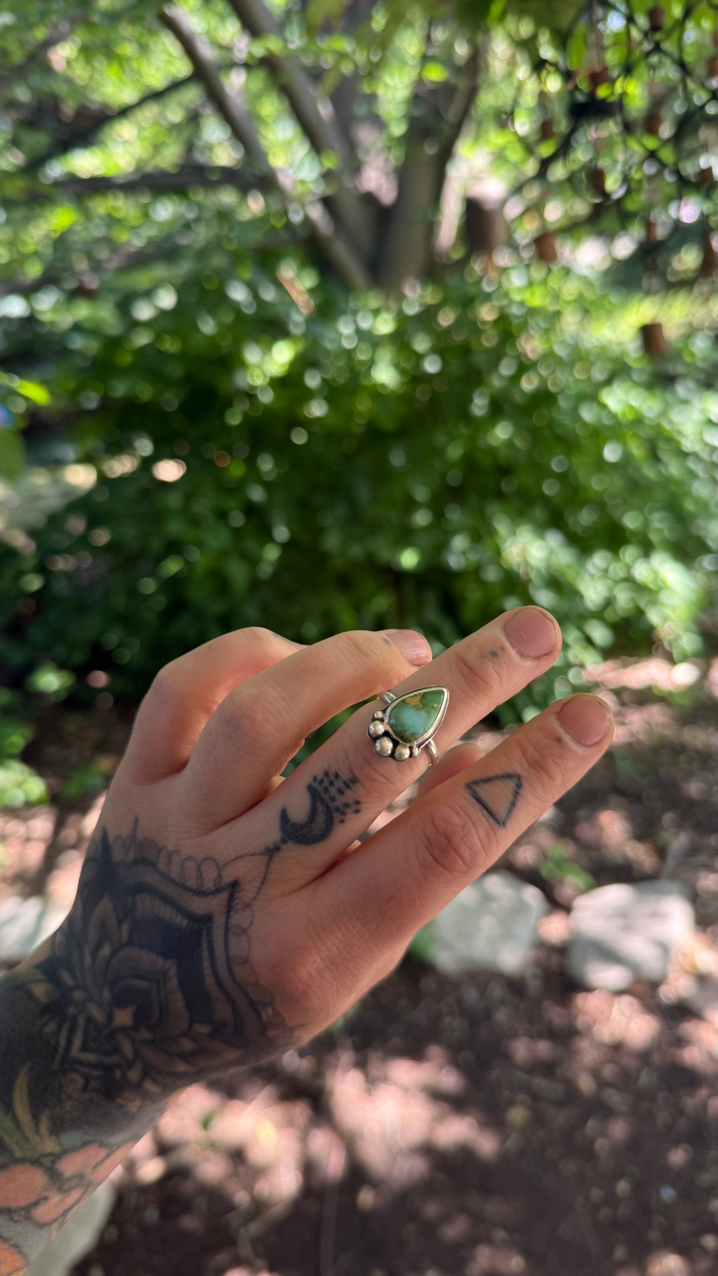 Sonoran Gold turquoise Ring - Size 6