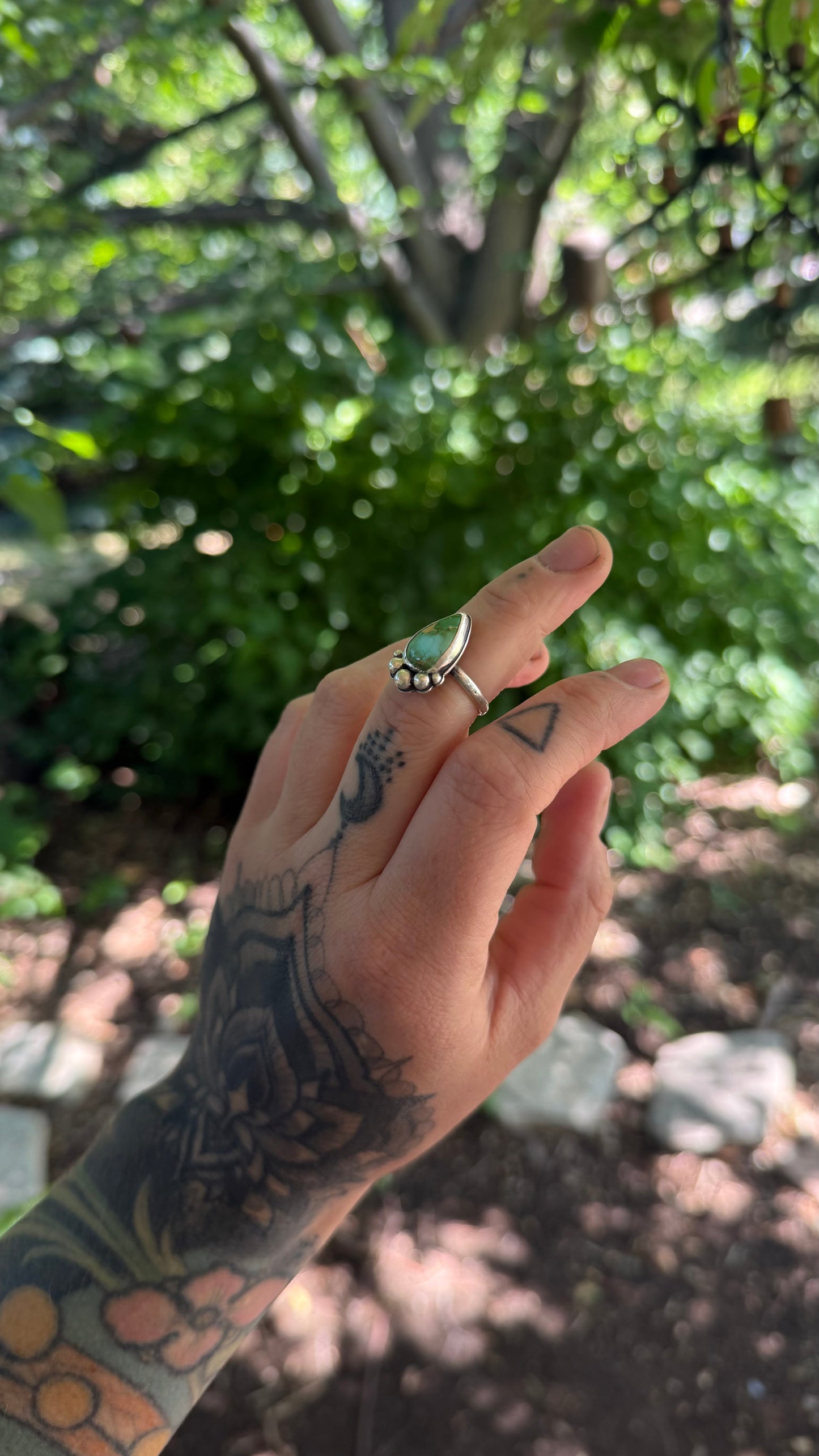 Sonoran Gold turquoise Ring - Size 6