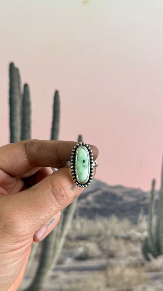 Paloma Turquoise Ring | Size 7
